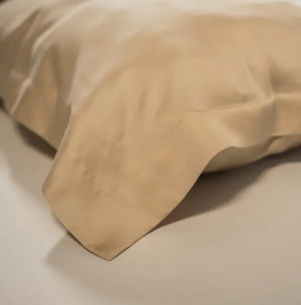 DSC00195 Bubbly Champagne 100% bamboo pillowcase